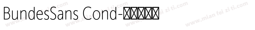 BundesSans Cond字体转换